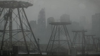 #56 Пінгвін