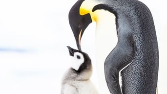 Penguins: Meet the Family (2020)