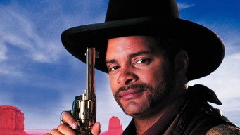 #6 The Cherokee Kid