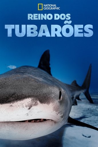 Big Sharks Rule