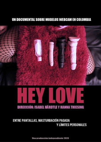 Hey Love poster