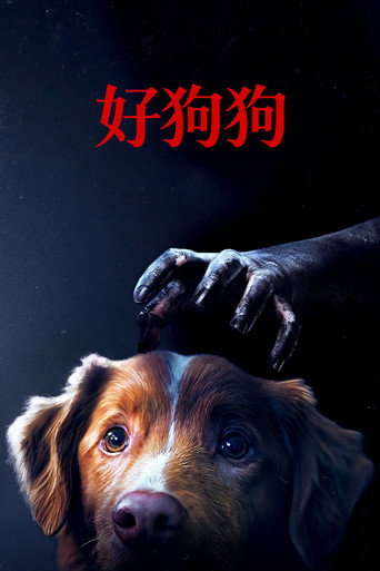 好狗狗