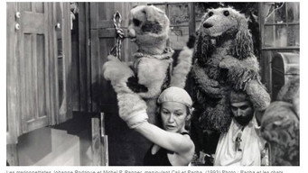 Pacha et les chats (1991)