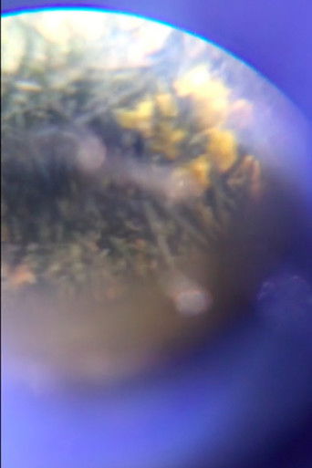 Gaps in the Persistent Hiss poster