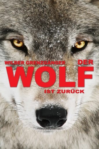 Wilder Grenzgänger - Der Wolf ist zurück