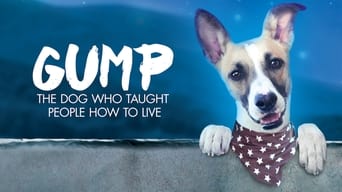 Gump media image