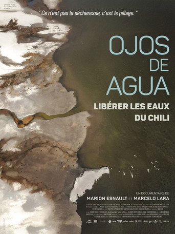 Ojos de agua (2025)