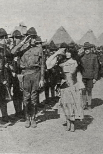 The Little Boy Scout