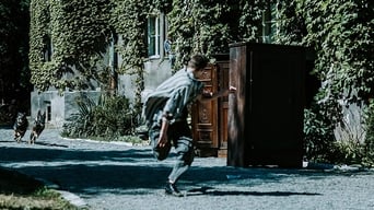 Galeria 4 - Perros de presa