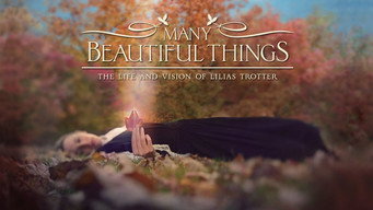 #4 Many Beautiful Things