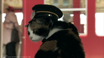 #2 The Cat Way