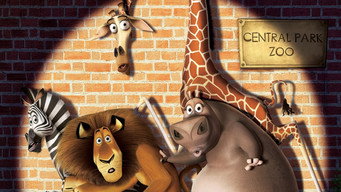 Madagascar backdrop 10