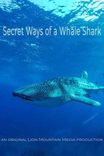 Le long voyage d'un requin-baleine (2024)