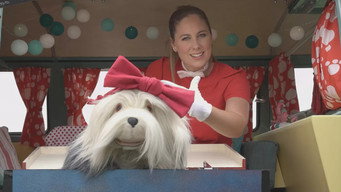 Episode 30 — Episode 30