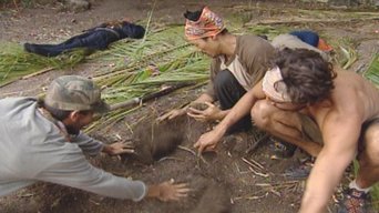 Survivor S14E8 poster