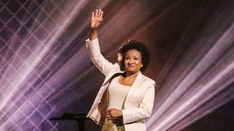 Galeria 1 - Wanda Sykes: Not Normal