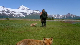 Grizzly Man backdrop 2