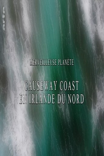 Merveilleuse planète - Causeway coast en Irlande du nord poster