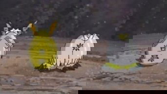 Cena de Vai Digiovo!