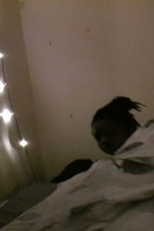 Capture 03 01 18 poster