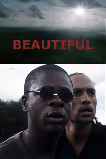 Beautiful (2011)