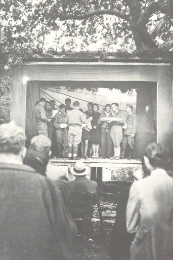 Theatre on the mountain