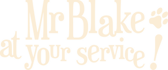 Mr. Blake At Your Service! logo
