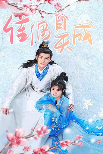 佳偶自天成 poster