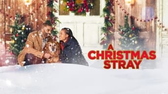 A Christmas Stray (2021)