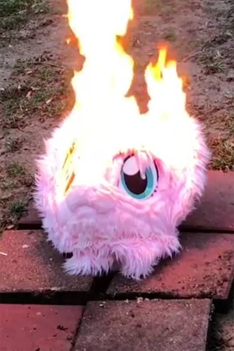 The Spirit Is Willing But The Flesh Is Furry poster