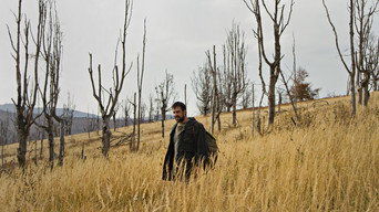 Father (2020)