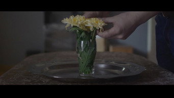 Flowers (2017)