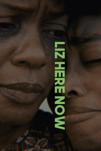 Cartell de Liz Here Now