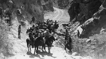 The Hurricane Horseman (1931)