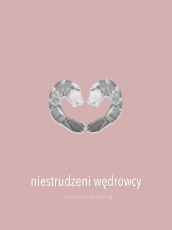 Niestrudzeni wędrowcy