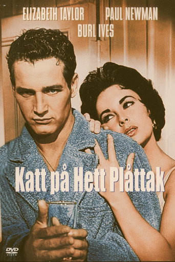 Katt på hett plåttak