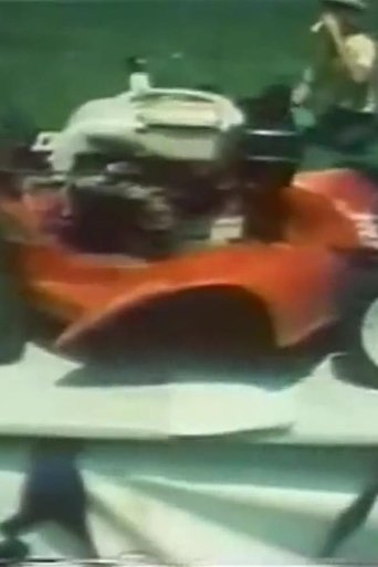 Torro. Torro. Torro! (1981)