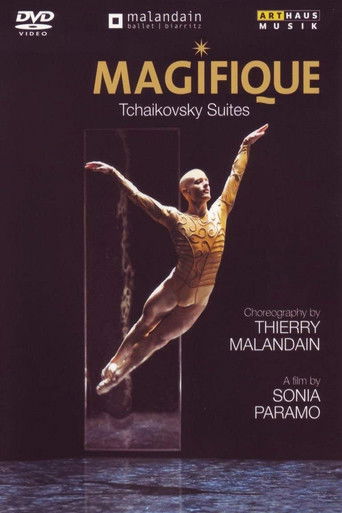 Magifique poster