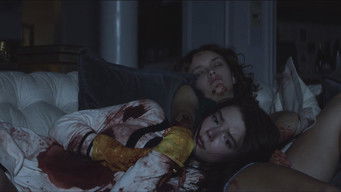 Galeria 2 - Purasangre