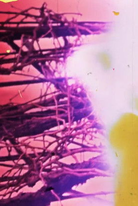 Granular Film - Beirut (2016)