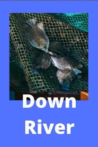 Póster de Down River