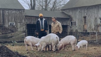 Galeria 5 - Down with the King