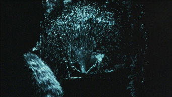 #4 Eaux d'artifice
