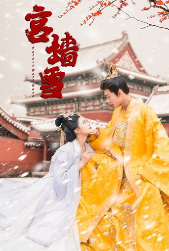 宫墙雪 poster