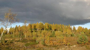 The Blue Hills (2006)
