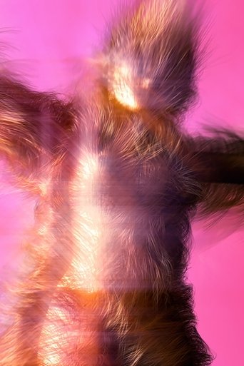 Sway