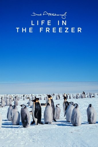 Life in the Freezer: Season 1