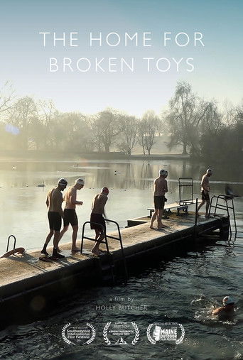 The Home for Broken Toys poster