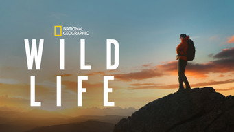 #12 Wild Life