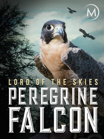 Peregrine Falcon: Lord of the Skies image